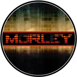 Artist avatar of Morley